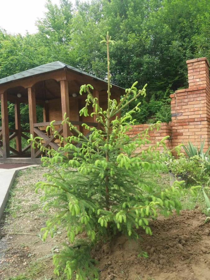 Villa Na Uzlissi Migovo Ngoại thất bức ảnh
